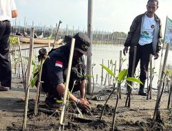 Kasno dan Komunitas Mangrove Semarang, Jaga Pesisir dari Gempuran Abrasi